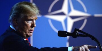 В Польше рассказали, когда НАТО сможет выполнить требование Трампа