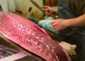 В Токио тунца весом 276 килограммов продали за 1,3 миллиона долларов