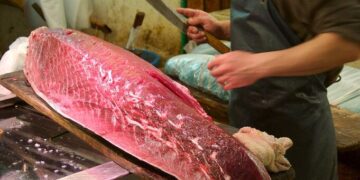 В Токио тунца весом 276 килограммов продали за 1,3 миллиона долларов