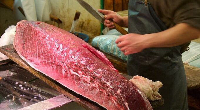 В Токио тунца весом 276 килограммов продали за 1,3 миллиона долларов