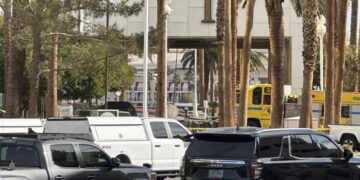 Во взорвавшемся в Лас-Вегасе Cybertruck нашли пиротехнику