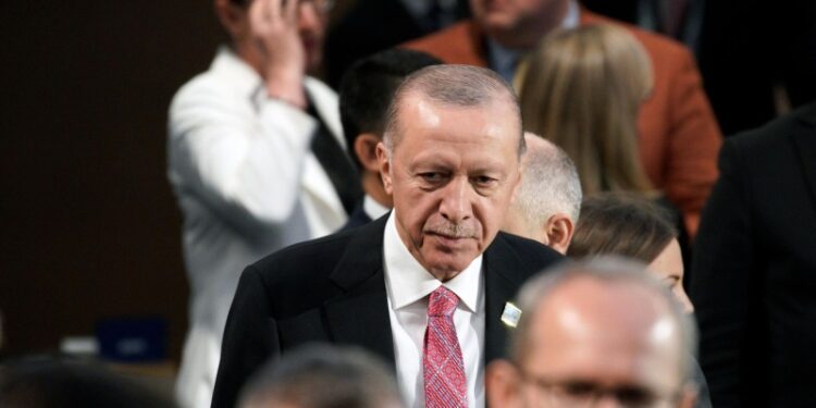 Эрдоган встретится с Лавровым в Анкаре