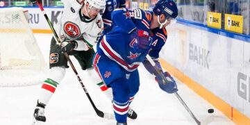 Медведев прокомментировал ситуацию с болельщиками «Ак Барса»