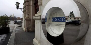 ОБСЕ балансирует на грани искусственной комы, заявил Лукашевич