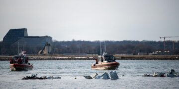 Пилот разбившегося в США самолета маневром пытался уйти от столкновения