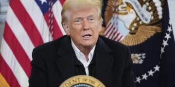 Трамп хочет договориться с Украиной о поставках редкоземельных металлов