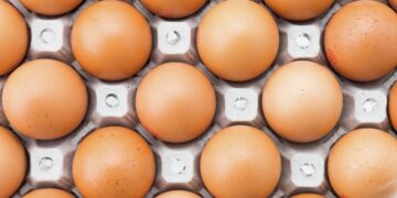 Украина готова отправлять в США крупные партии яиц, пишут СМИ