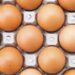 Украина готова отправлять в США крупные партии яиц, пишут СМИ