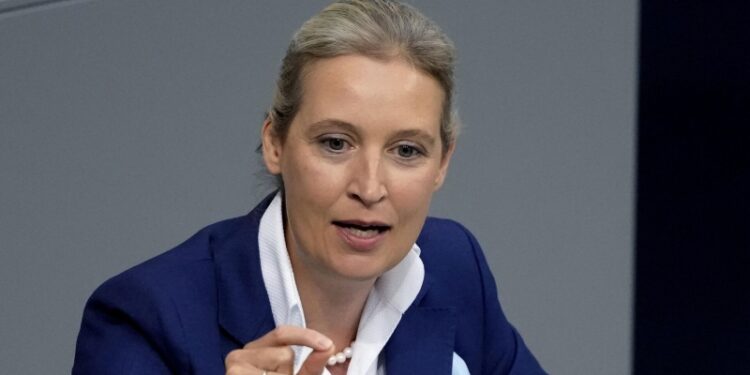 Вайдель поблагодарила Орбана за приглашение посетить Венгрию