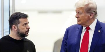 WSJ объяснила ироничные высказывания Трампа в адрес Зеленского