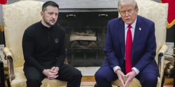 Болтон раскрыл, как Трамп на самом деле относится к Зеленскому