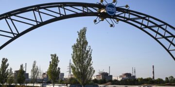 На ЗАЭС прокомментировали договоренности Путина и Трампа по Украине