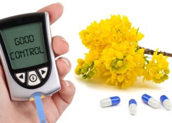 Натуральное лекарство из барбариса оказалось эффективным в лечении диабета