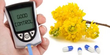 Натуральное лекарство из барбариса оказалось эффективным в лечении диабета