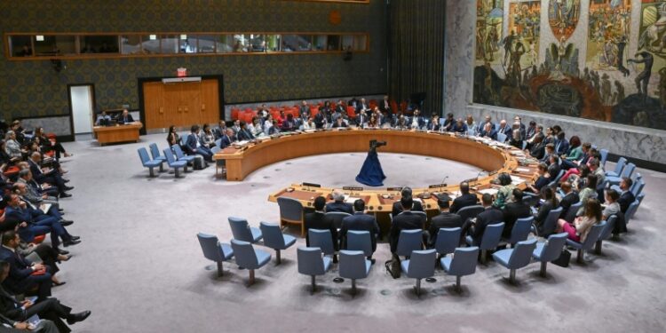 Песков оценил голосование России и США за одну резолюцию ООН по Украине