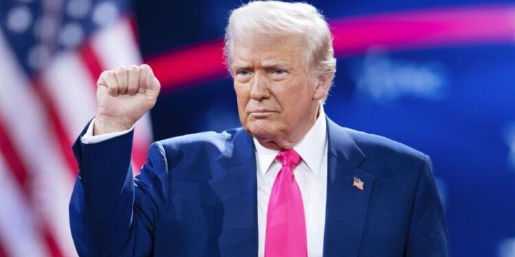 Трамп заявил, что обсудил с Путиным много тем