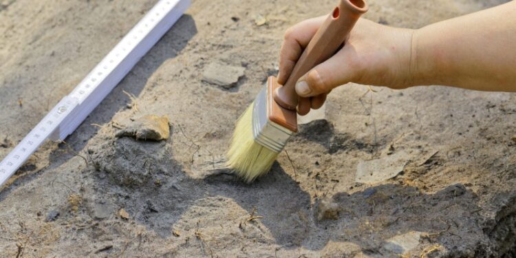 В Испании нашли останки неизвестного ранее вида древнего человека