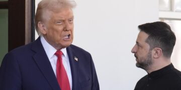 В Совфеде заявили, что Трамп устал от Зеленского