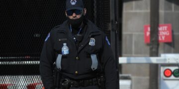 В США арестовали женщину, утопившую собаку в туалете аэропорта