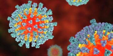 Число заболевших корью в Техасе почти достигло 500