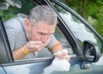 Необычные «аудиоспеции» спасут от морской болезни