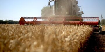 Патрушев рассказал о росте товарооборота с ОАЭ