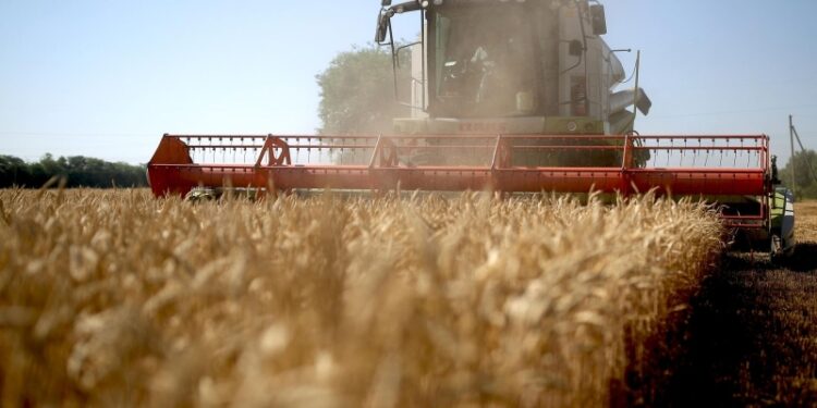 Патрушев рассказал о росте товарооборота с ОАЭ