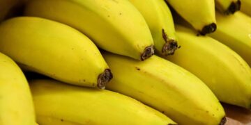 Россельхознадзор проверит производителей бананов в Эквадоре