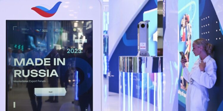 Российские ИТ-разработчики видят потенциал расширения экспорта в Африку