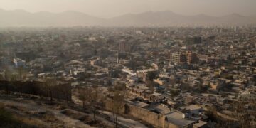 Более половины афганских провинций ввели запрет на показ живых существ