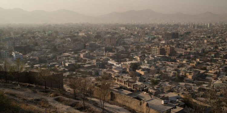 Более половины афганских провинций ввели запрет на показ живых существ