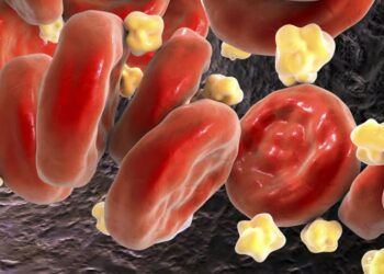 Комбинация двух препаратов снижает уровень холестерина в крови на 49 %