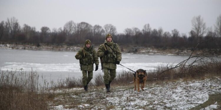На границе Белоруссии с Латвией нашли тело мигранта