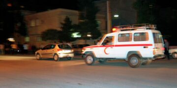 При землетрясении в Иране пострадали 29 человек