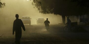 В Чаде разбился самолет наблюдения за носорогами