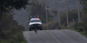 В Мексике блогершу застрелили в прямом эфире в TikTok