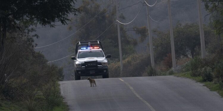 В Мексике блогершу застрелили в прямом эфире в TikTok