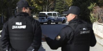 В посольстве России рассказали о ситуации с задержанием Сейнароева в Турции