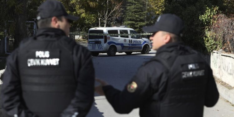 В посольстве России рассказали о ситуации с задержанием Сейнароева в Турции