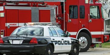 В США перевернулась фура, перевозившая ульи с пчелами