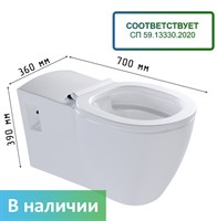 Унитаз для людей с ограниченными возможностями: на что обратить внимание при покупке.