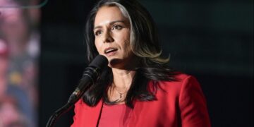 «Мир на грани»: глава национальной разведки США сделала мрачное заявление