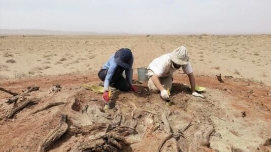Ученые выяснили назначение загадочной стены в Монголии