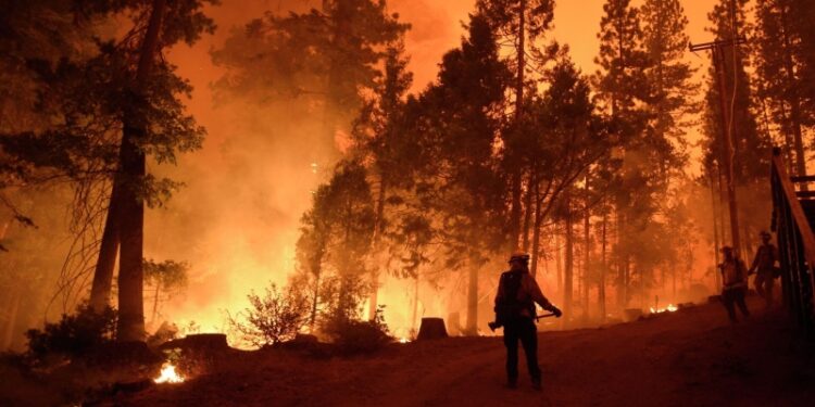 В Айдахо двое пожарных погибли при нападении преступника, пишут СМИ