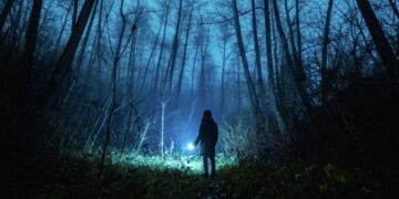 Загадка гибели лягушачьих мальчиков: смерть от рук маньяка или пришельцев?