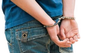 Интерпол отменил запрос Японии на арест одного из основателей Greenpeace*