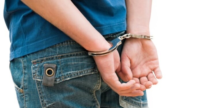 Интерпол отменил запрос Японии на арест одного из основателей Greenpeace*