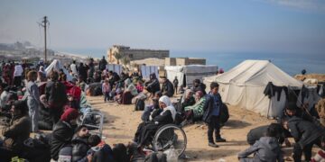 Израильские военные задержали двух сотрудников ВОЗ в Газе