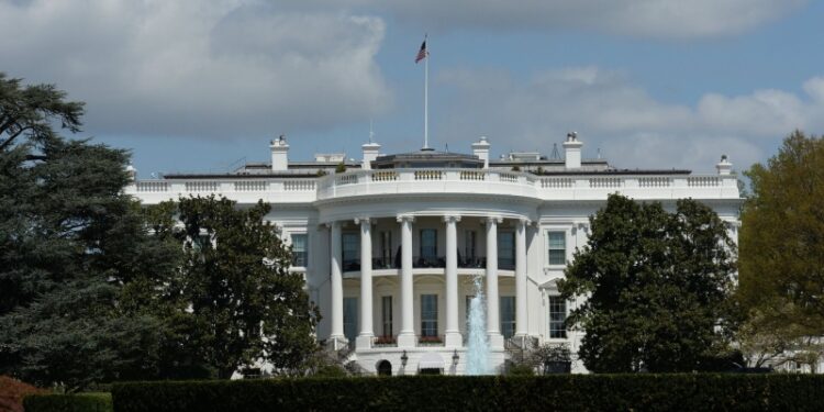 Пропалестинский активист потребовал компенсацию от администрации Трампа