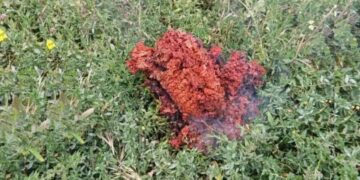 В Болгарии загадочный объект упал во двор дома